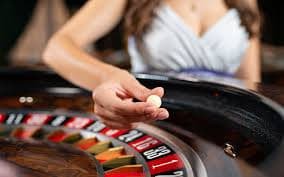pk 715 Hamara slot collection aapke liye